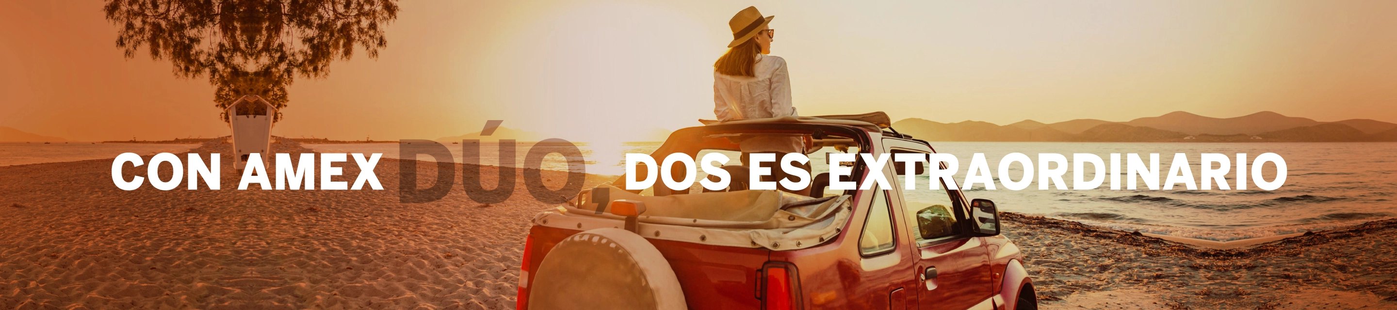 AmericanExpress