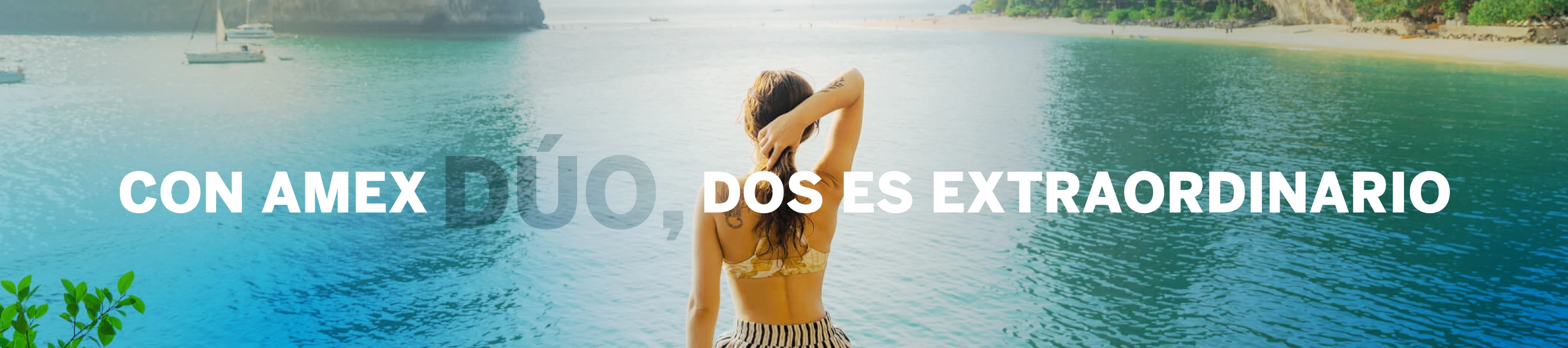 AmericanExpress
